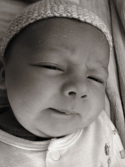 David, Black & White