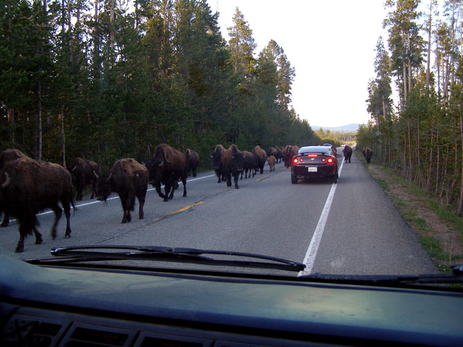 Rush hour