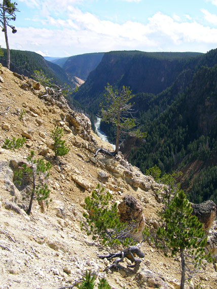 Grand Canyon of Yellowstone
