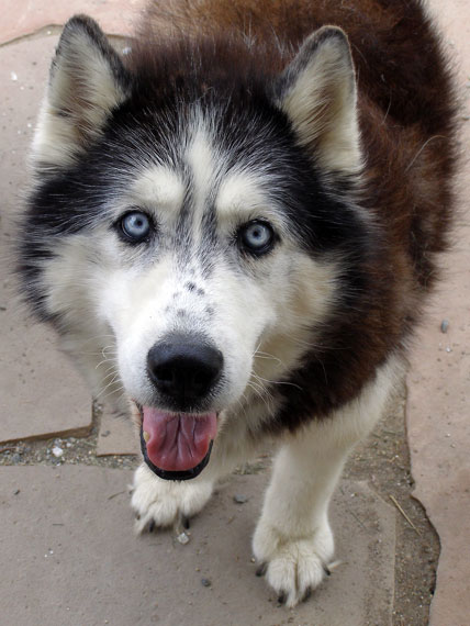 Nakita