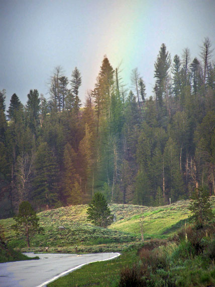 rainbow