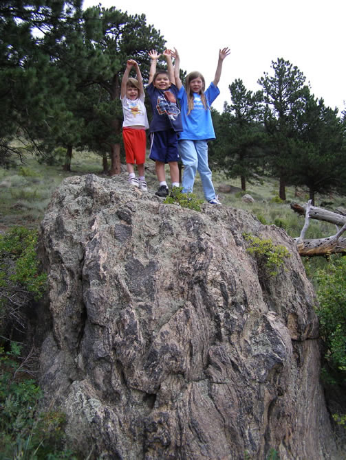 You let them climb up there?