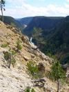 Grand Canyon of Yellowstone